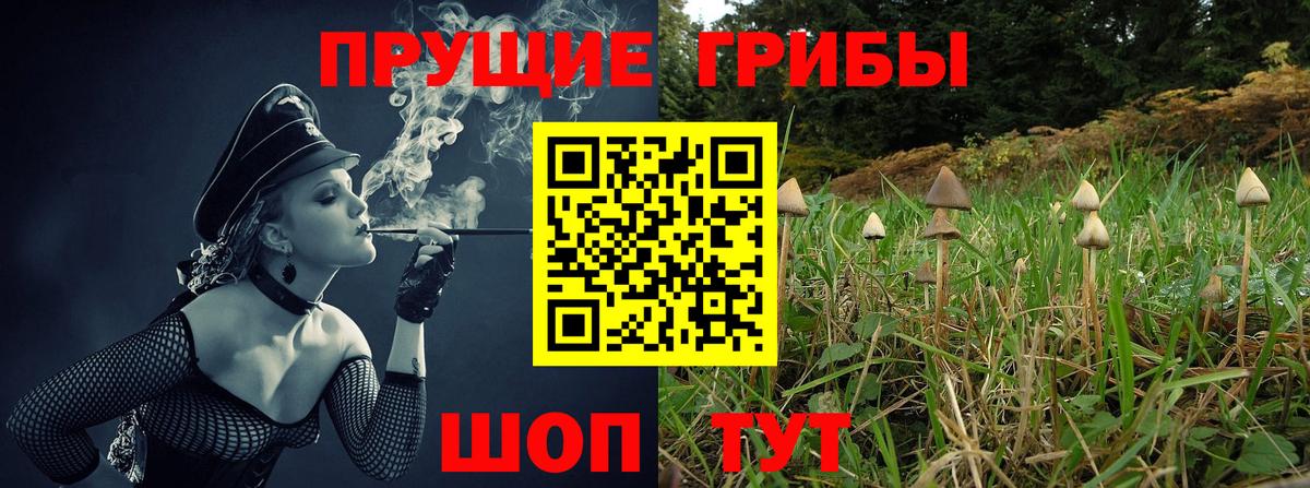 Псилоцибиновые грибы прущие грибы  Вход с VPN  Вышний Волочёк  Галлюциногенные грибы мицелий 