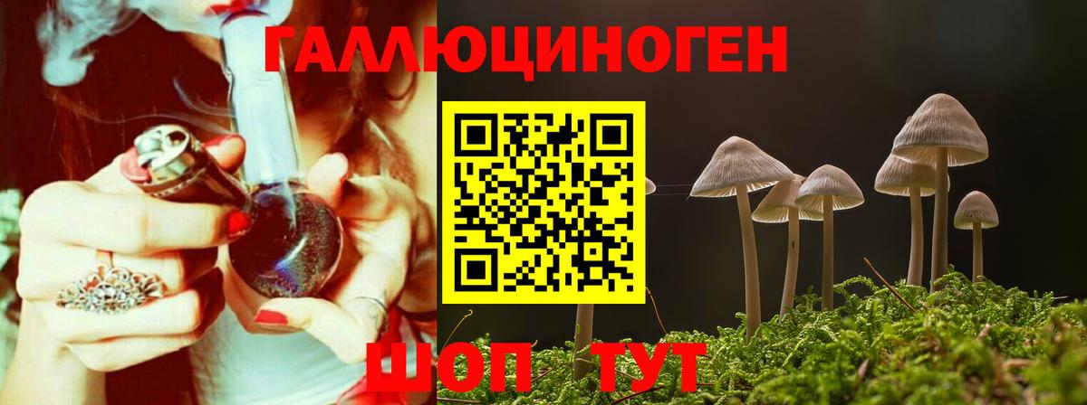 Псилоцибиновые грибы MAGIC MUSHROOMS Вышний Волочёк